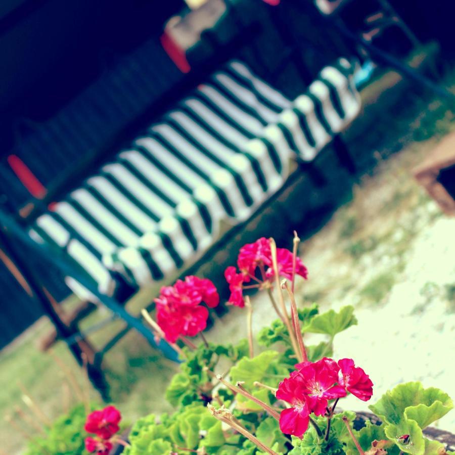 Frühstückspension Red House